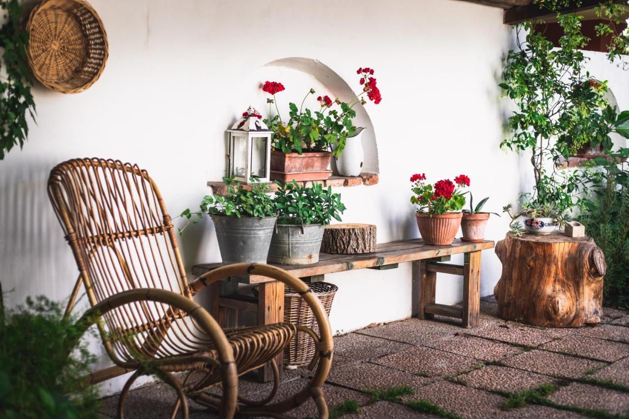 Bed and Breakfast A Casa Mia Bagnolo San Vito Exterior foto